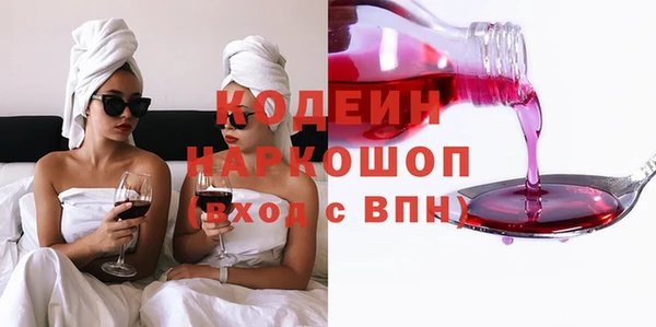 прущие грибы Инта