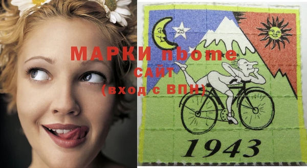 прущие грибы Инта