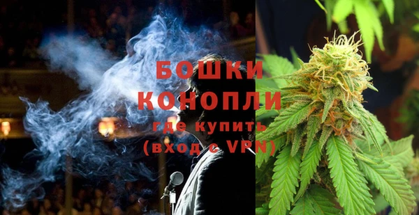молекула духа Каменск-Шахтинский