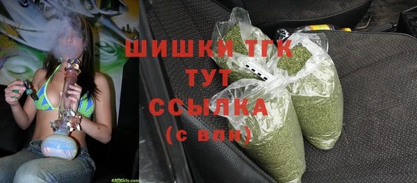 молекула духа Каменск-Шахтинский