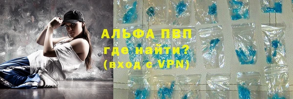 прущие грибы Инта