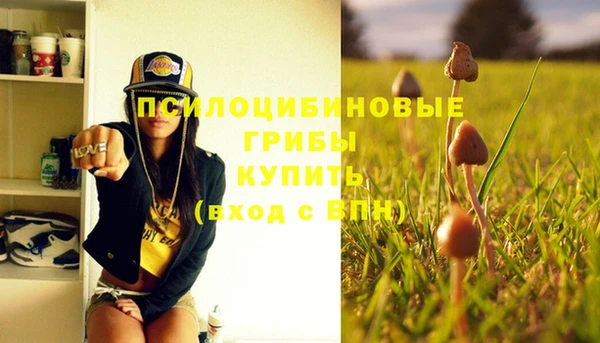 а пвп мука Иннополис