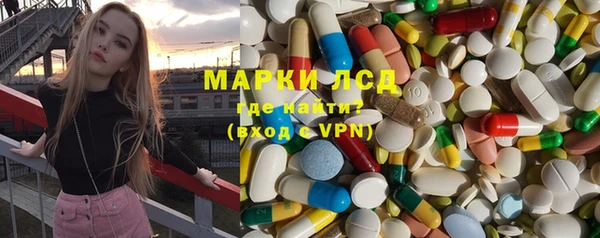 ГАЛЛЮЦИНОГЕННЫЕ ГРИБЫ Инсар