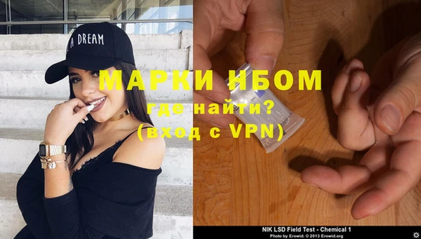ГАЛЛЮЦИНОГЕННЫЕ ГРИБЫ Инсар