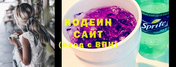 ГАЛЛЮЦИНОГЕННЫЕ ГРИБЫ Инсар