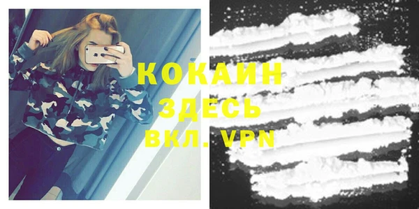 ГАЛЛЮЦИНОГЕННЫЕ ГРИБЫ Инсар