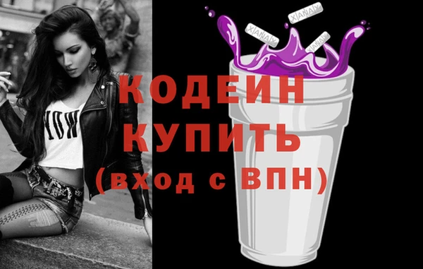 ГАЛЛЮЦИНОГЕННЫЕ ГРИБЫ Инсар
